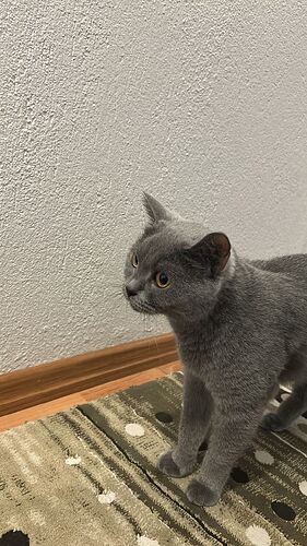 WhatsApp Image 2025-10-22 at 23.21.22