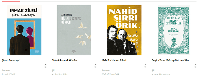 Ekran görüntüsü 2025-03-19 114048