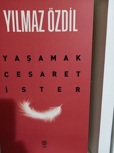 20250403_220202