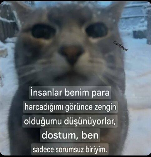 20251222_224020