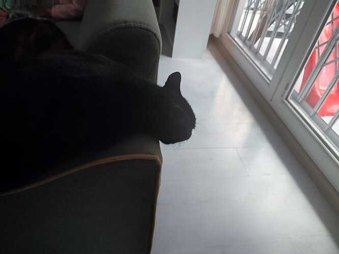 IMG-20241206-WA0002
