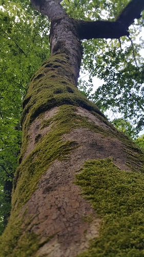 20190504_125951