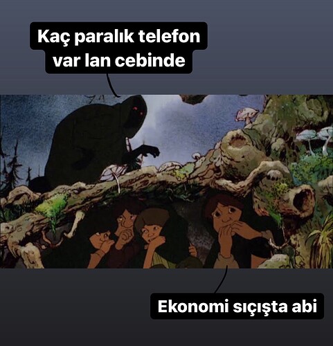 resim