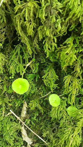 20190504_130446