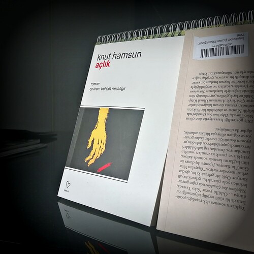 Picsart_22-11-10_20-19-21-540