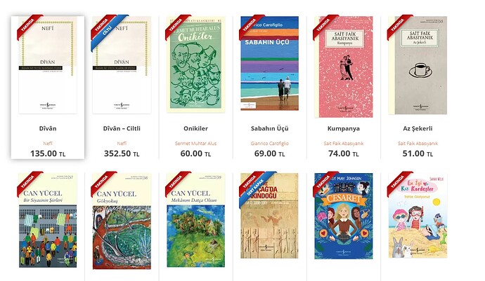 Ekran görüntüsü 2024-05-30 154427