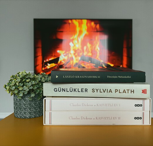 IMG_4173_SnapseedCopy