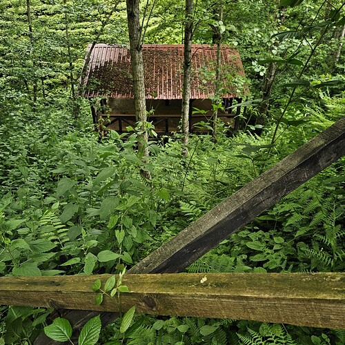 WhatsApp Image 2024-05-31 at 23.07.53