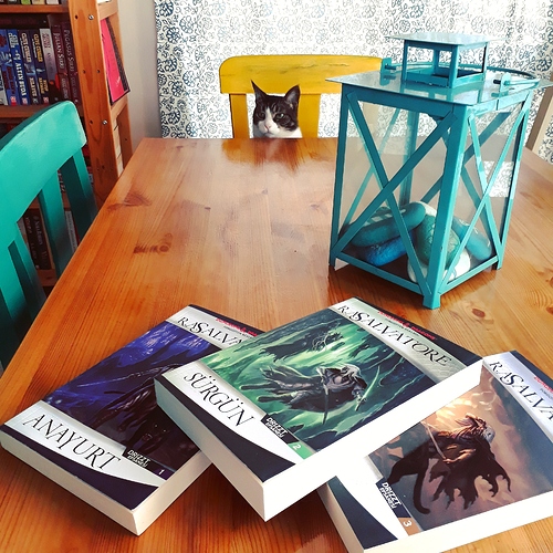 IMG_20190704_191831_905