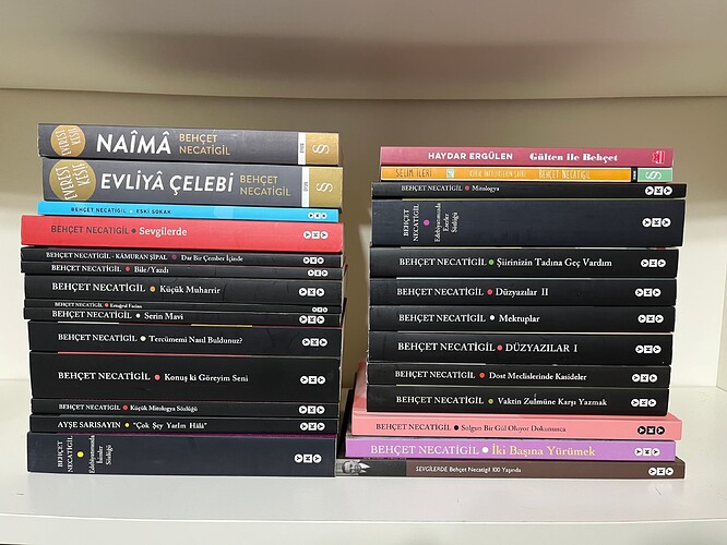 behçet necatigil