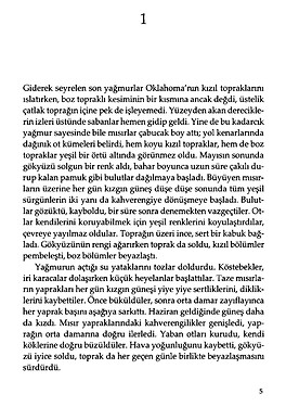 Gazap Üzümleri Sel Yayınları