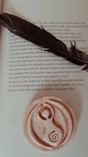 IMG_20231115_151529_262