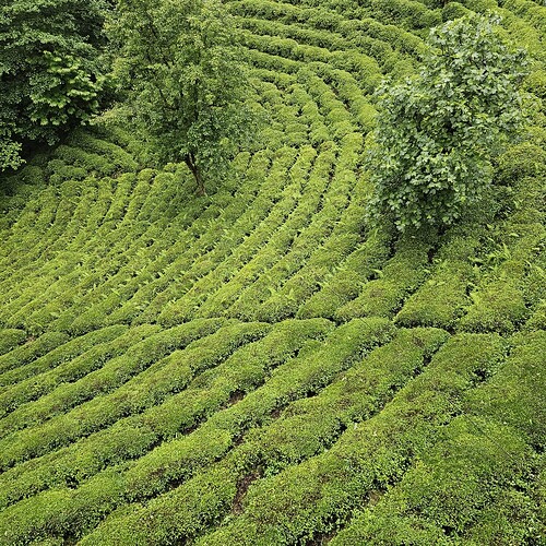 WhatsApp Image 2024-05-30 at 16.17.58