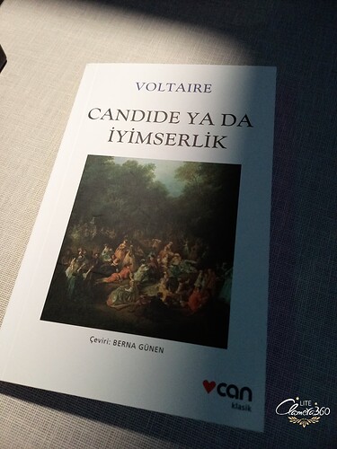 ice_2023-11-18-19-35-49-344