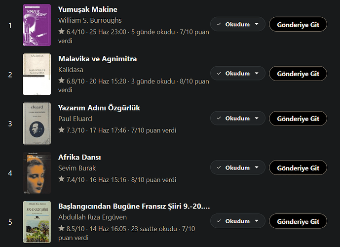 Ekran görüntüsü 2025-06-30 235752