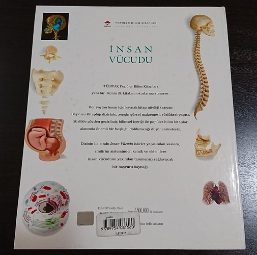 insan02