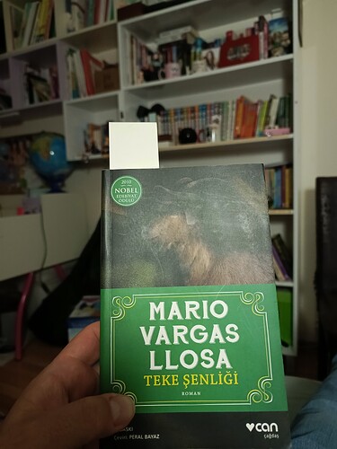 IMG_20241218_000556_418