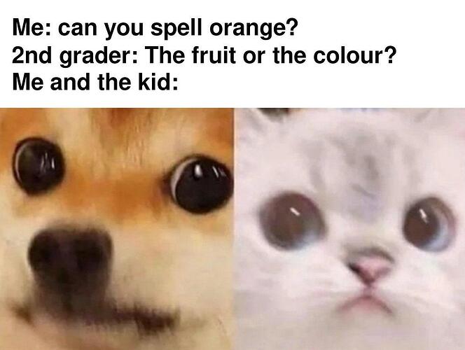 dd7n41dtab0f1