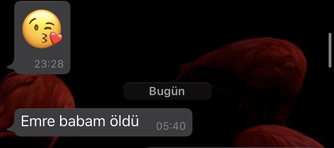 resim