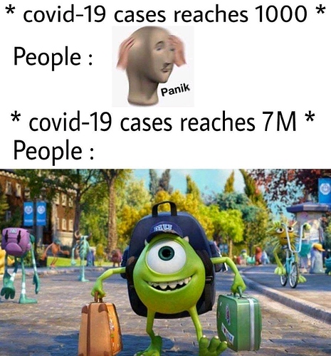 FB_IMG_15918081037803271