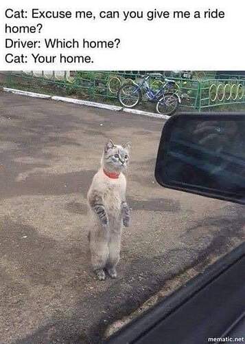 FB_IMG_1627768596462