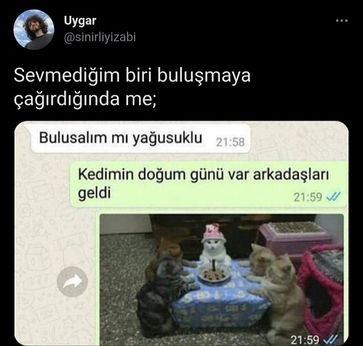 Screenshot_20210905-210244_Gallery