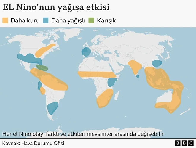 234492f0-3a74-11f1-9d5c-8ba507d7dbde.png