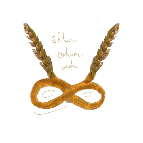 PicsArt_08-22-09.39.50