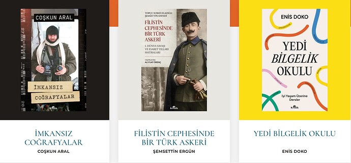 Ekran görüntüsü 2025-11-17 154049