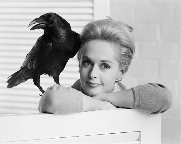 Tippi  Bird bw (2)