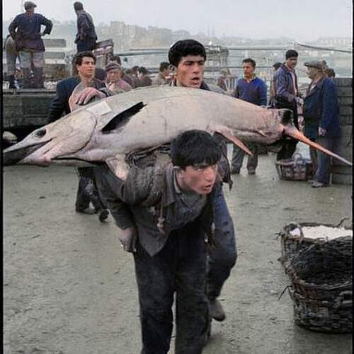 FB_IMG_1614229760157