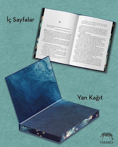 ‘’Tek düşman denizdir.’’🌊Effy Sayre hayatı boyunca masallara inanmak zorunda kaldı.Çocukluğunda (3)