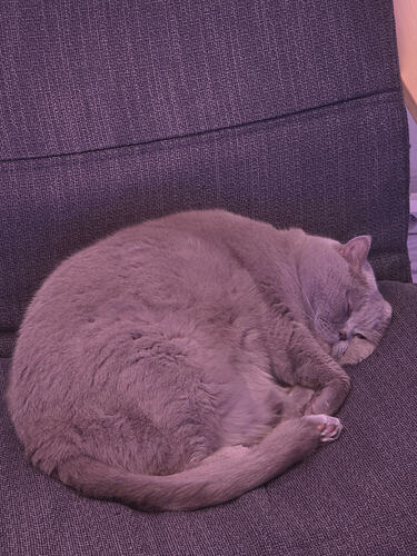 118392