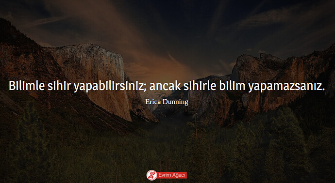 resim_2021-02-22_161458
