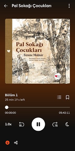 Screenshot_20251103_013618_Storytel