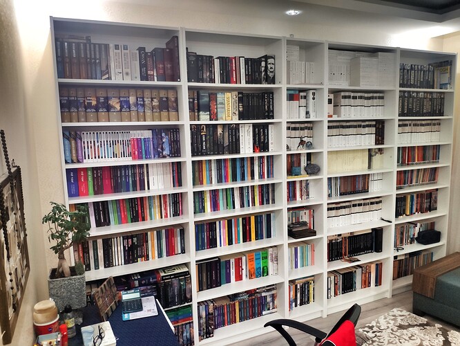 IMG_20210202_182750-01