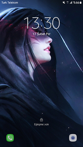 Screenshot_20190217-133021