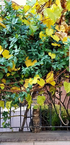 20190421_142927