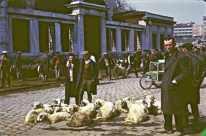 FB_IMG_1614229874901