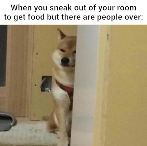 ckyfvsafq0b61