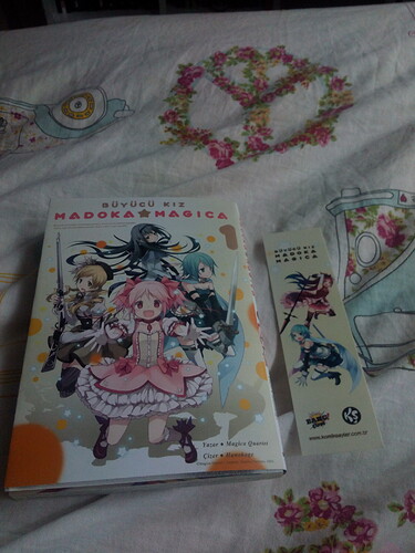 16123436734081750269501