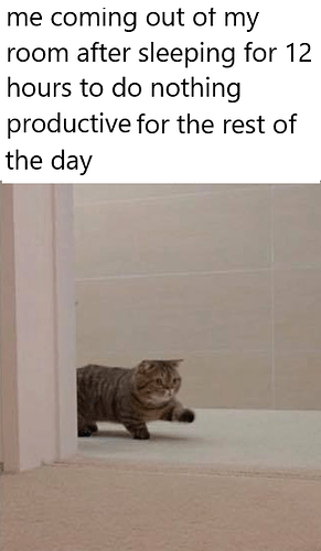 1o47r9zvfk951