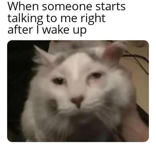6ee3lf1psfnh1