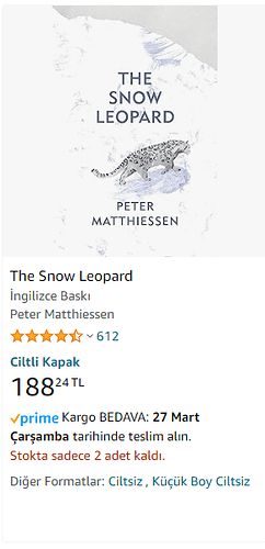 the snow