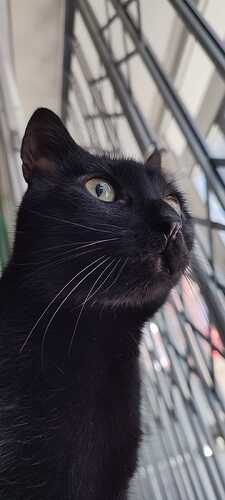 IMG-20250425-WA0004