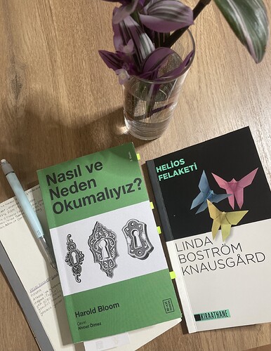 görüntü