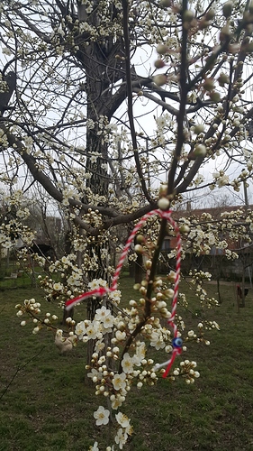 20190302_133349