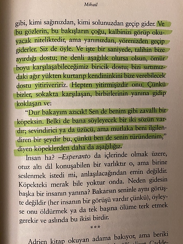 resim