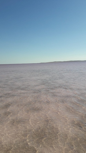 IMG-20190707-WA0008