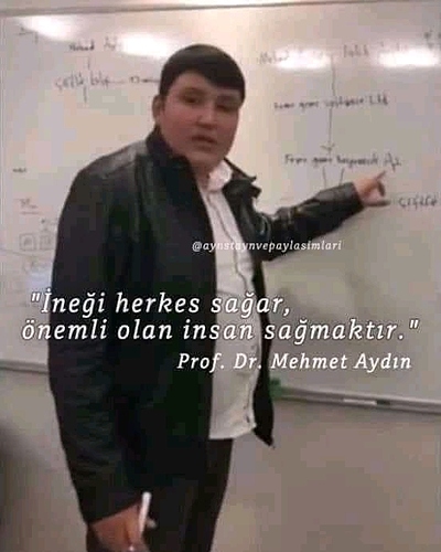 FB_IMG_16007089458144221
